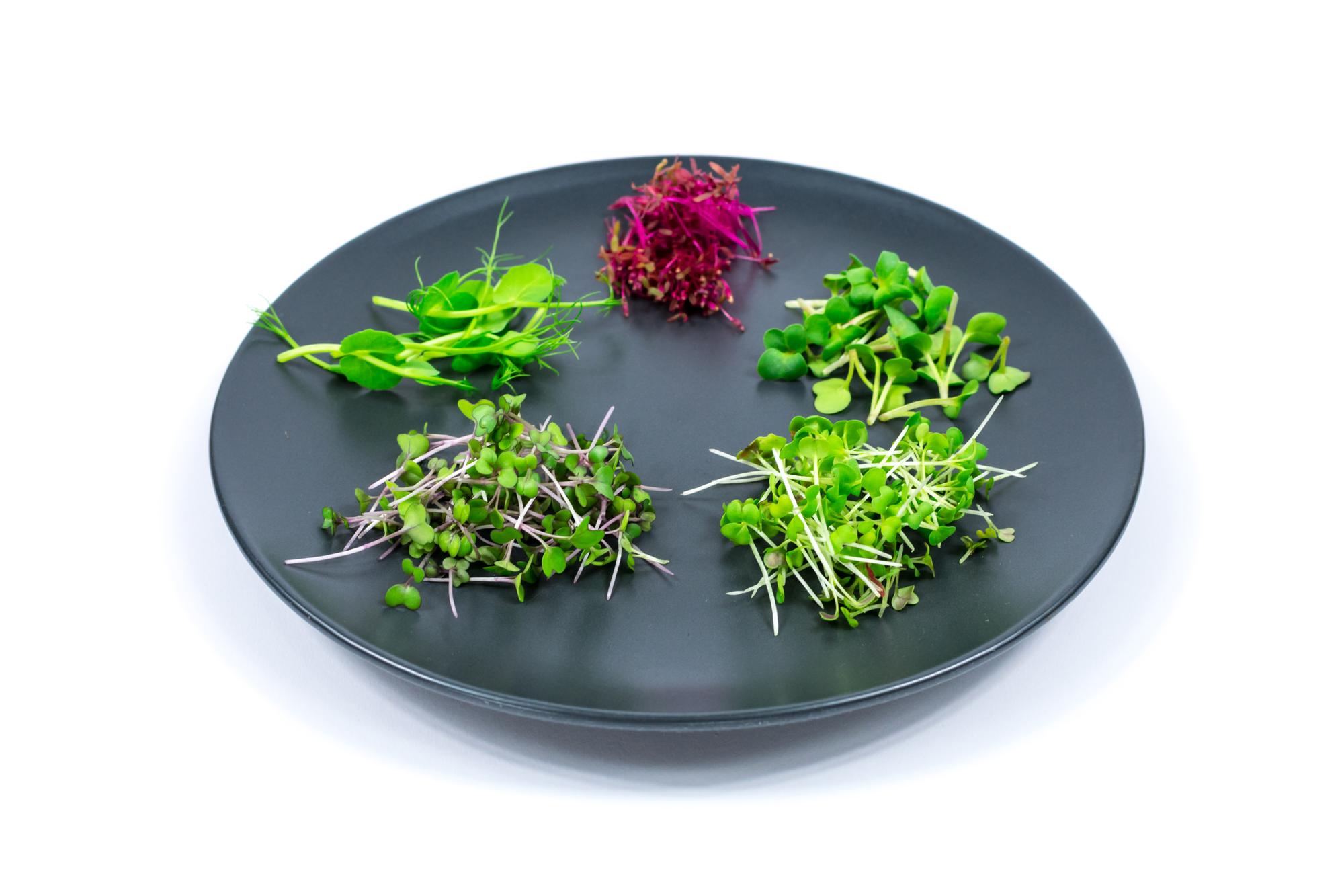 close-up of plated starter with micro herbs